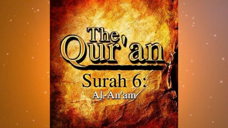 surah al anaam hindi translation